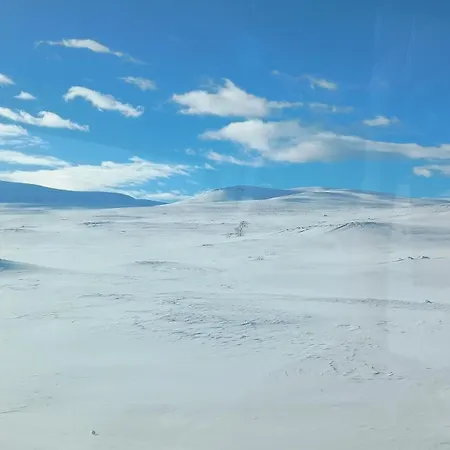 House Just North Of Arctic Circle Дом отдыха
