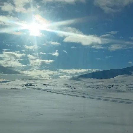 House Just North Of Arctic Circle *