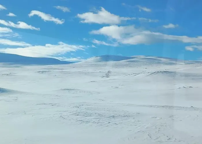 House Just North Of Arctic Circle Дом отдыха