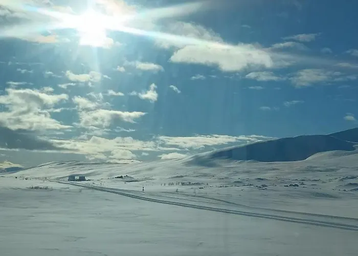 House Just North Of Arctic Circle *